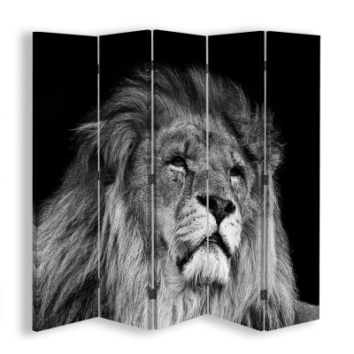 Skärm, Rumsavdelare Black And White Lion - Dekorativ Canvasskärm för Inomhusbruk