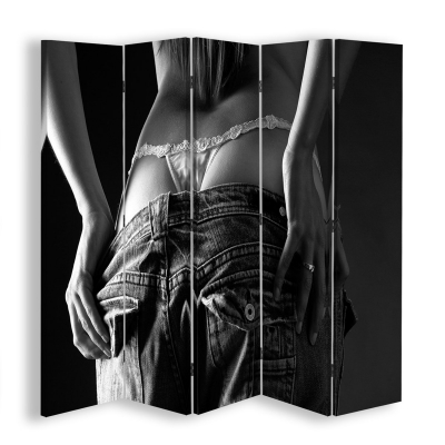 Room Divider Black And White Model - Indoor Decorative Canvas Screen