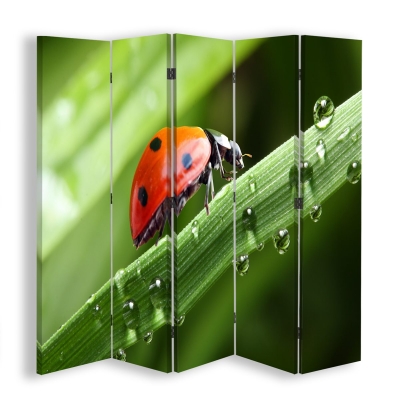 Paravent - Raumteiler Ladybird - Dekorativer Raumtrenner