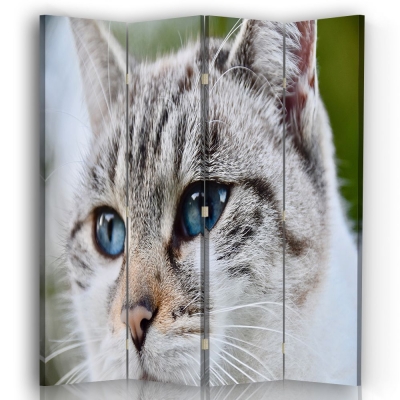 Skärm, Rumsavdelare Cat Eyes - Dekorativ Canvasskärm för Inomhusbruk