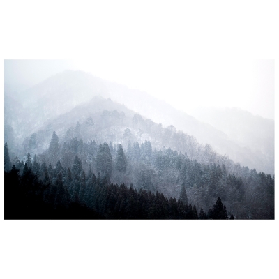 Kunstdruck auf Leinwand - Bäume im Nebel - Wanddeko, Canvas