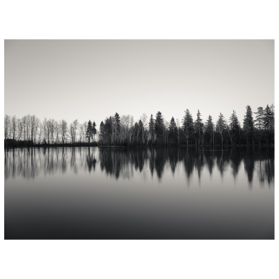 Canvas Print - Trees Reflected On The Water - Wall Art Decor
