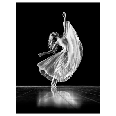 Canvastryck - Dance On The Tips - Dekorativ Väggkonst