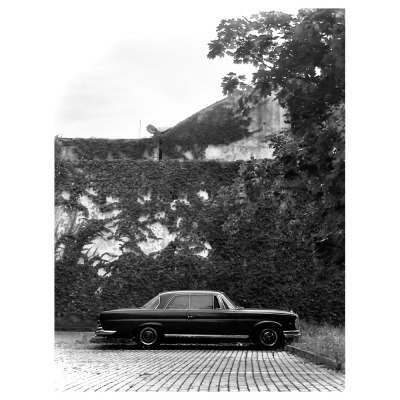 Obraz na płótnie - Parking Under The Ivy - Dekoracje ścienne