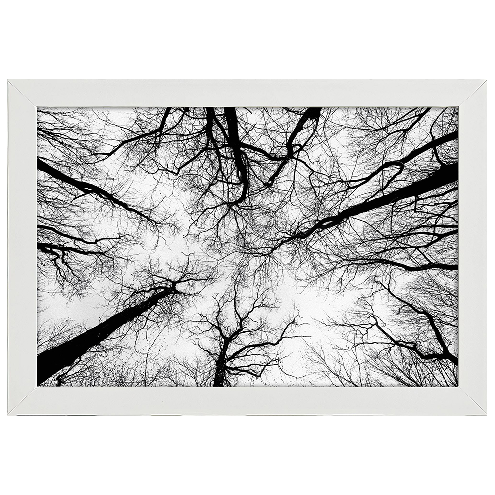 Cornice Per Foto Poster Quadri Tele Dimensioni 40x50cm Colore Bianco 