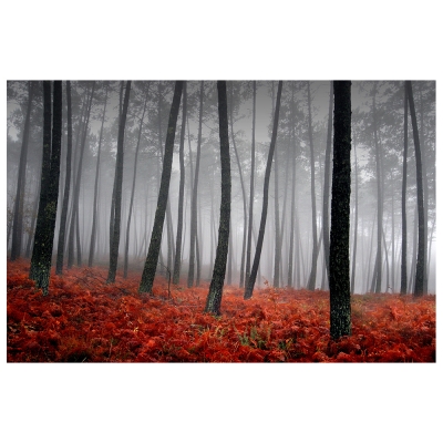 Canvas Print - Prosperous Undergrowth -  - Wall Art Decor