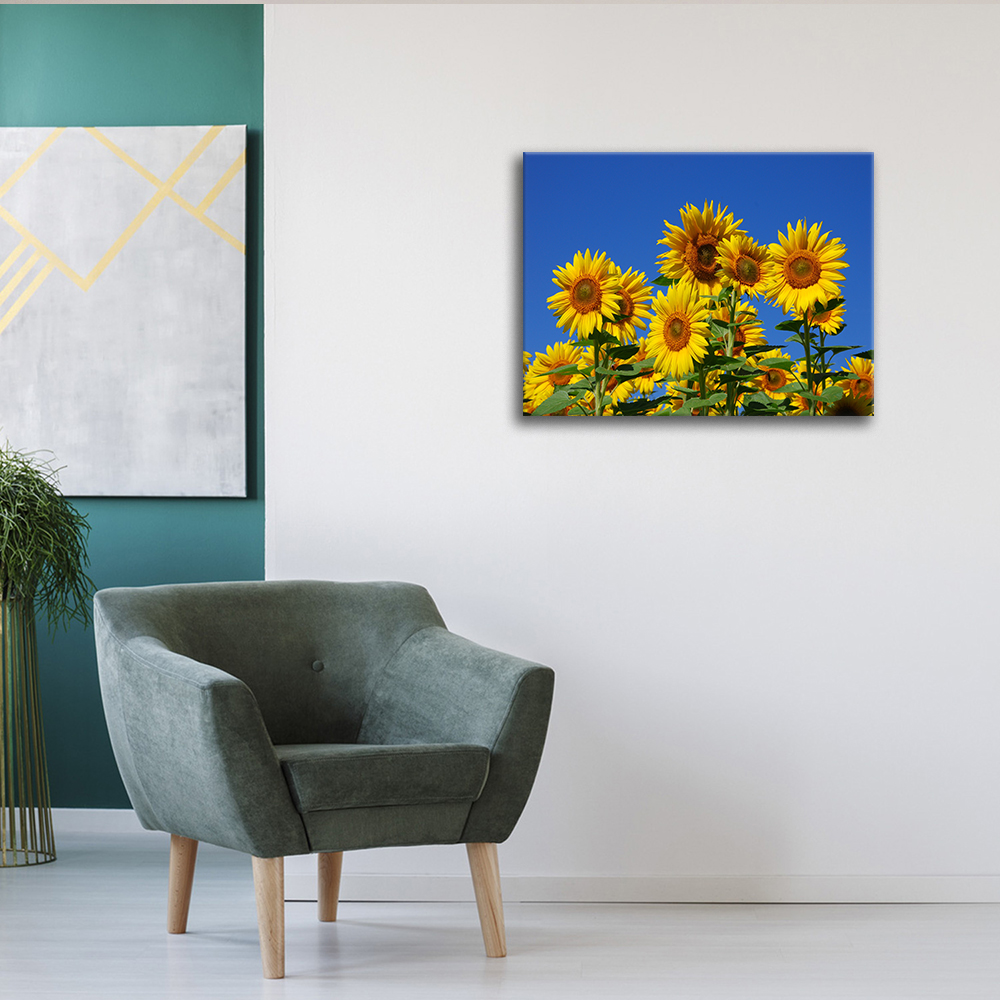 quadro su tela 90x45 cm stampa fiori arredo rustico cucina soggiorno Girasoli 