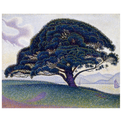 Stampa su tela - Il Pino Di Bonaventura A Saint Tropez - Paul Signac - Quadro su Tela, Decorazione Parete