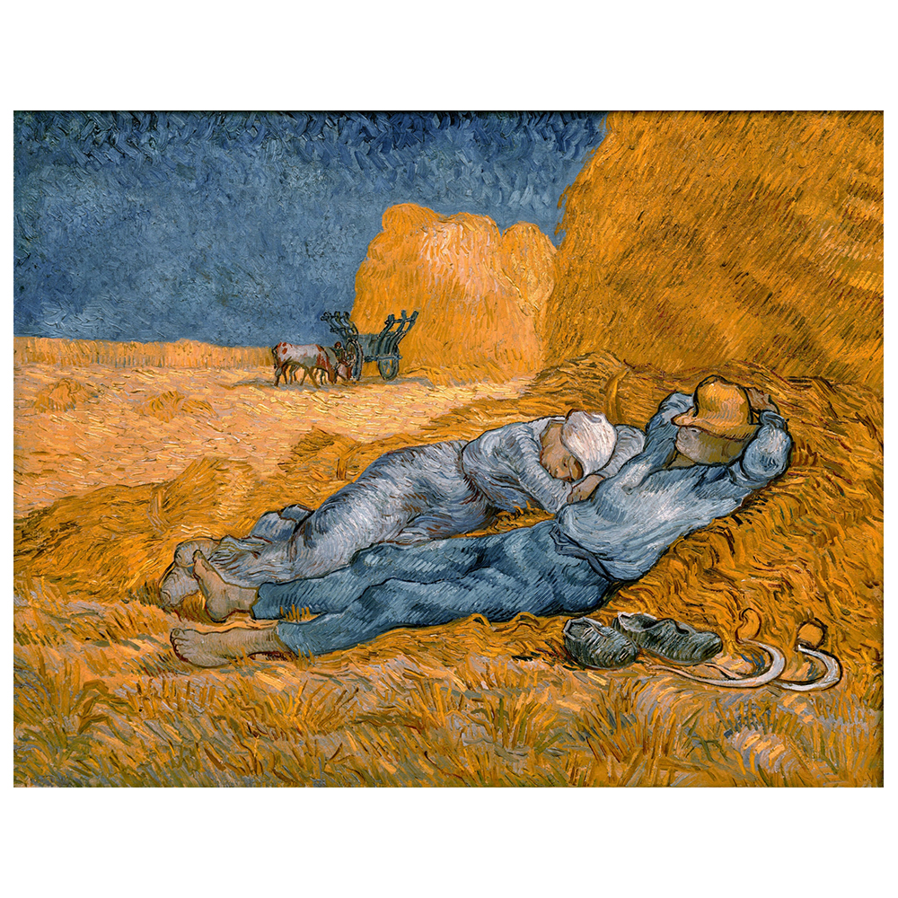 Van Gogh decoration