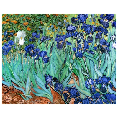 Tableau, Impression Sur Toile - Iris Vincent Van Gogh - Décoration murale