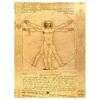 Tableau, Impression Sur Toile - Homme De Vitruve Leonardo Da Vinci - Décoration murale