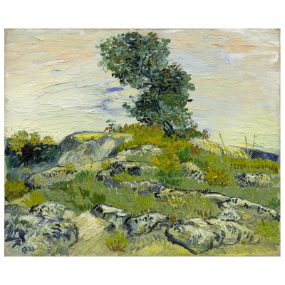 Kunstdruck auf Leinwand - Felshügel Mit Eiche - Vincent Van Gogh - Wanddeko, Canvas