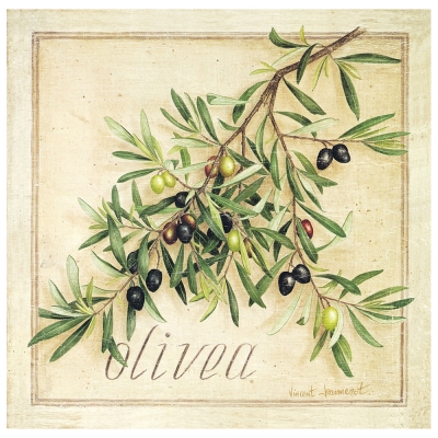 Kunstdruck auf Leinwand - Oliven - Wanddeko, Canvas