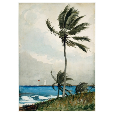 Canvas Print - Palm Tree, Nassau - Homer Winslow - Wall Art Decor