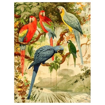 Canvastryck - Macaws - Emil August Goeldi - Dekorativ Väggkonst