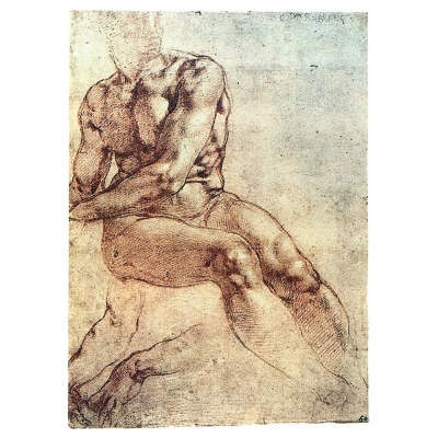 Canvastryck - Seated Young Male Nude And Two Arm Studies - Michelangelo Buonarroti - Dekorativ Väggkonst
