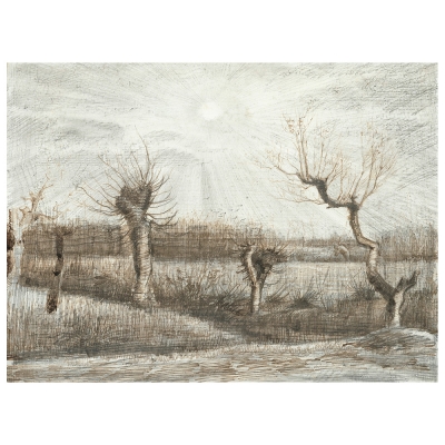 Cuadro Lienzo, Impresión Digital - Tetards (Pollards) - Vincent Van Gogh - Decoración Pared